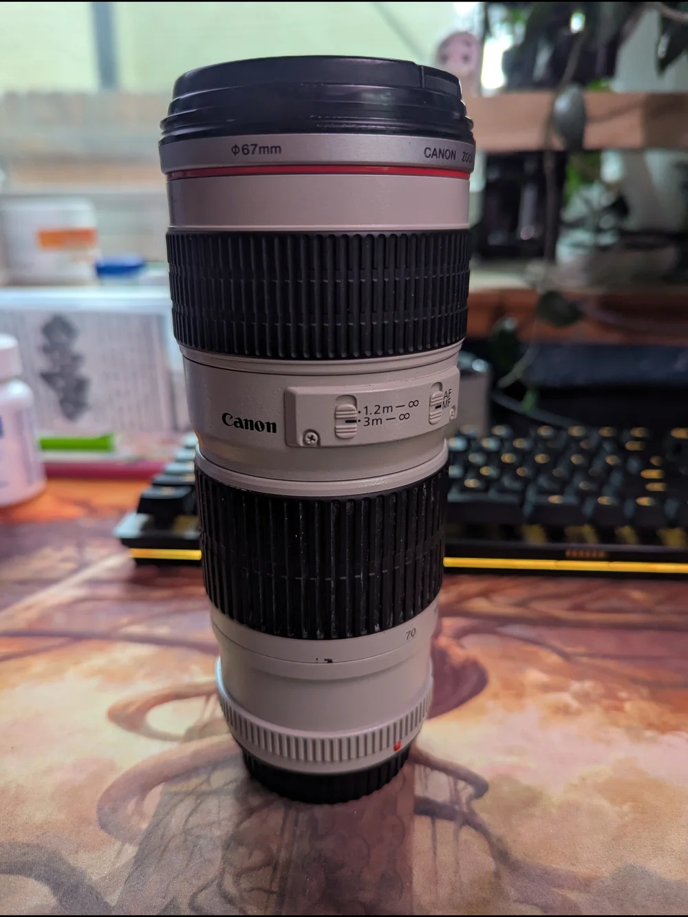Canon 70-200mm Telephoto Zoom Lens — JAPANESE GLASS